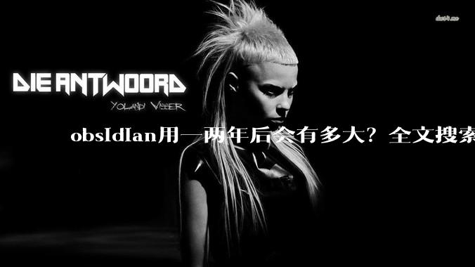 obsidian用一两年后会有多大？全文搜索还快吗？