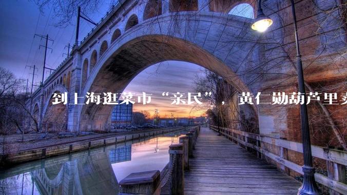 到上海逛菜市“亲民”，黄仁勋葫芦里卖的什么药？_中国_芯片_市场